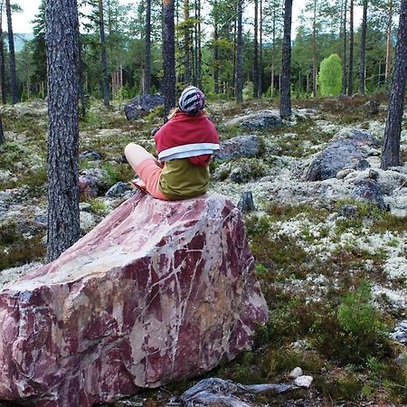 12 - Fulufjellets Nasjonalparker - Natur-, Dyre- Og Fugleopplevelser Ljørdal 外观 照片