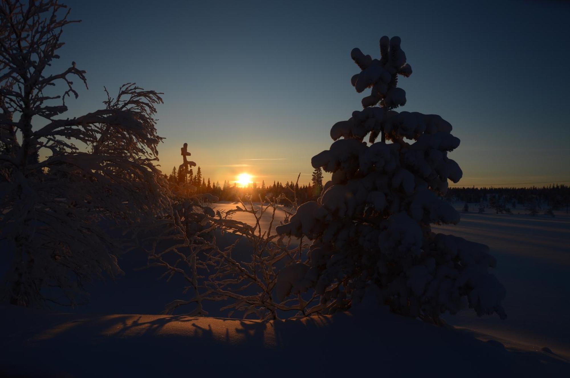 12 - Fulufjellets Nasjonalparker - Natur-, Dyre- Og Fugleopplevelser Ljørdal 外观 照片