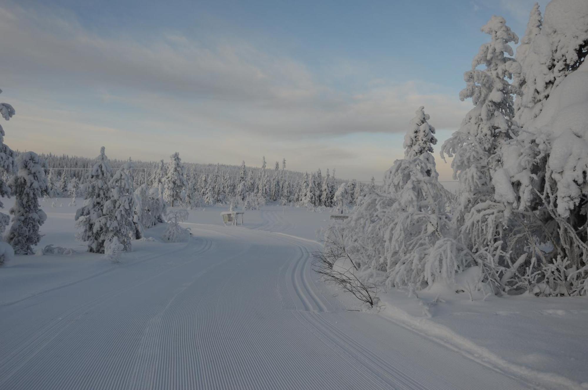 12 - Fulufjellets Nasjonalparker - Natur-, Dyre- Og Fugleopplevelser Ljørdal 外观 照片