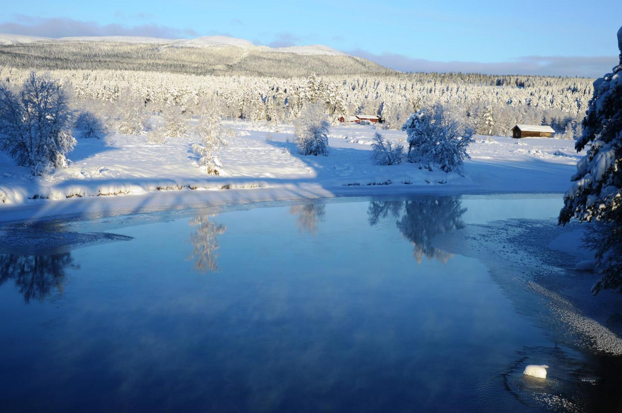 12 - Fulufjellets Nasjonalparker - Natur-, Dyre- Og Fugleopplevelser Ljørdal 外观 照片