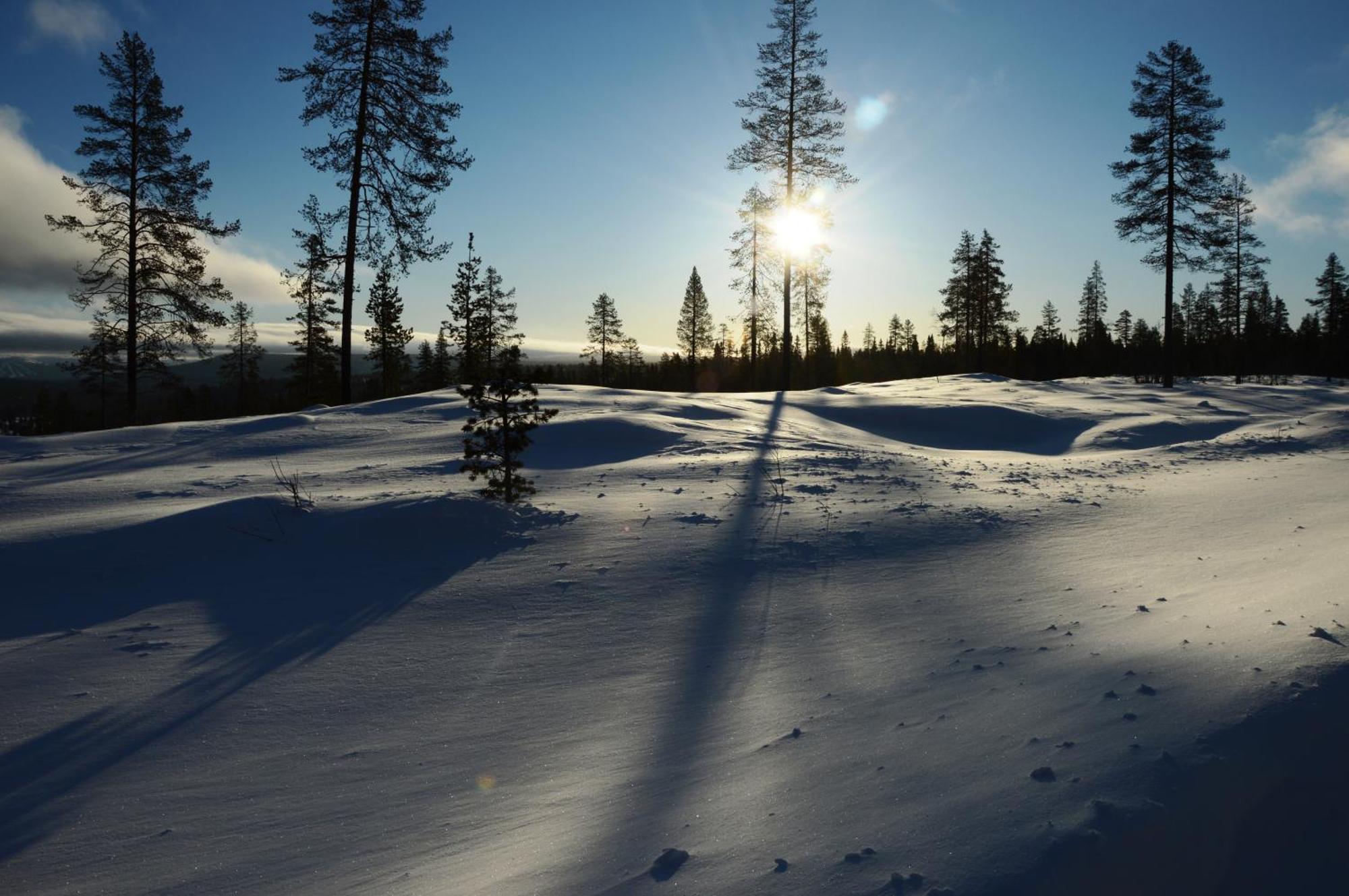 12 - Fulufjellets Nasjonalparker - Natur-, Dyre- Og Fugleopplevelser Ljørdal 外观 照片