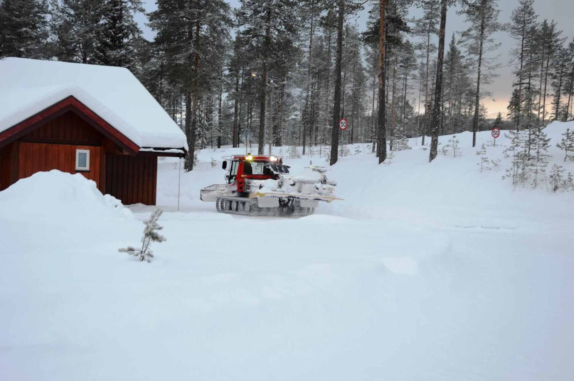 12 - Fulufjellets Nasjonalparker - Natur-, Dyre- Og Fugleopplevelser Ljørdal 外观 照片