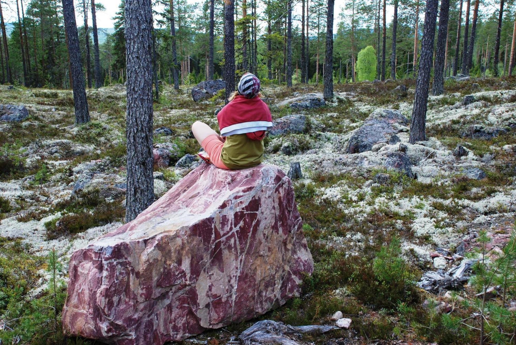 12 - Fulufjellets Nasjonalparker - Natur-, Dyre- Og Fugleopplevelser Ljørdal 外观 照片
