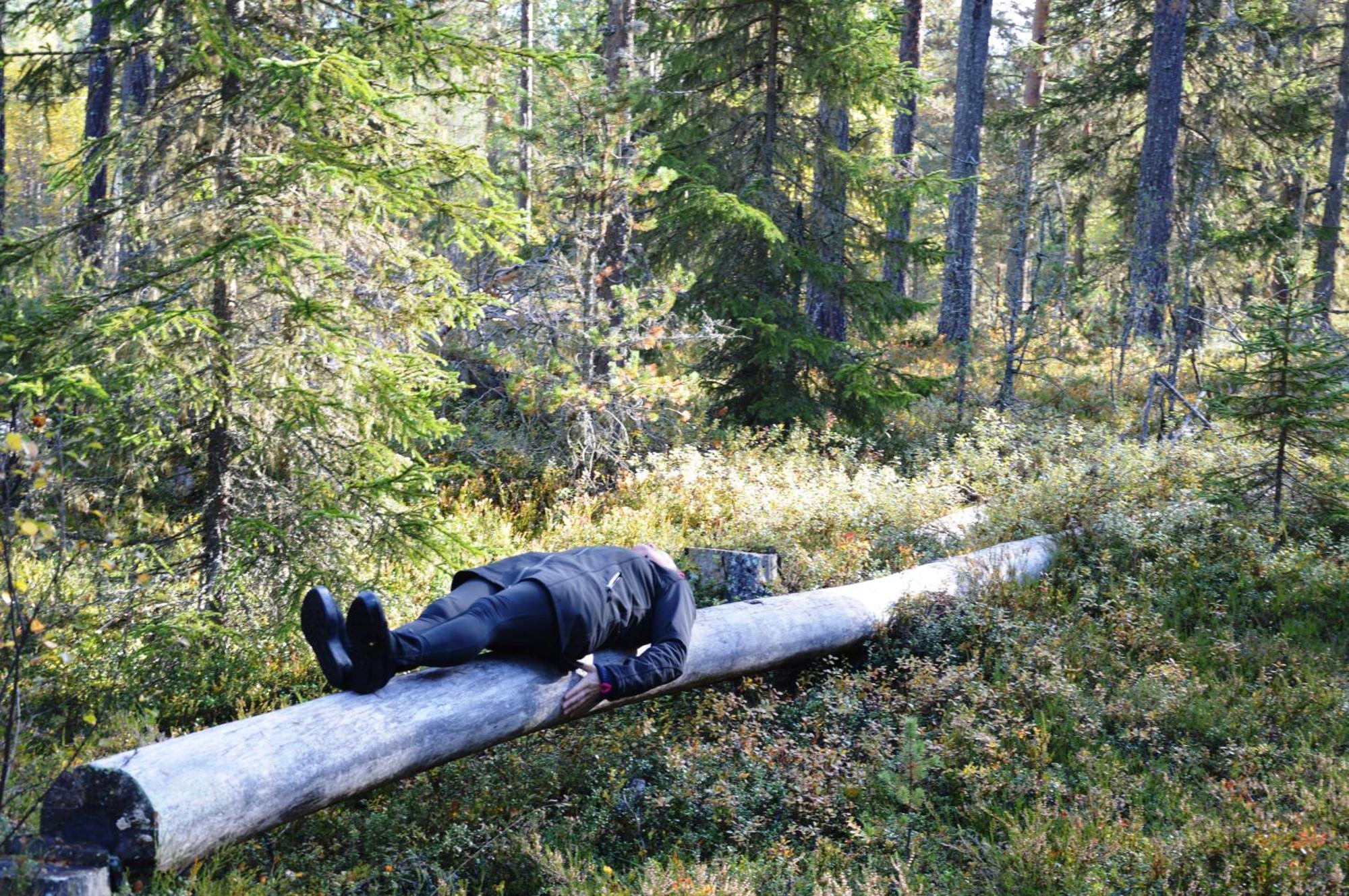 12 - Fulufjellets Nasjonalparker - Natur-, Dyre- Og Fugleopplevelser Ljørdal 外观 照片