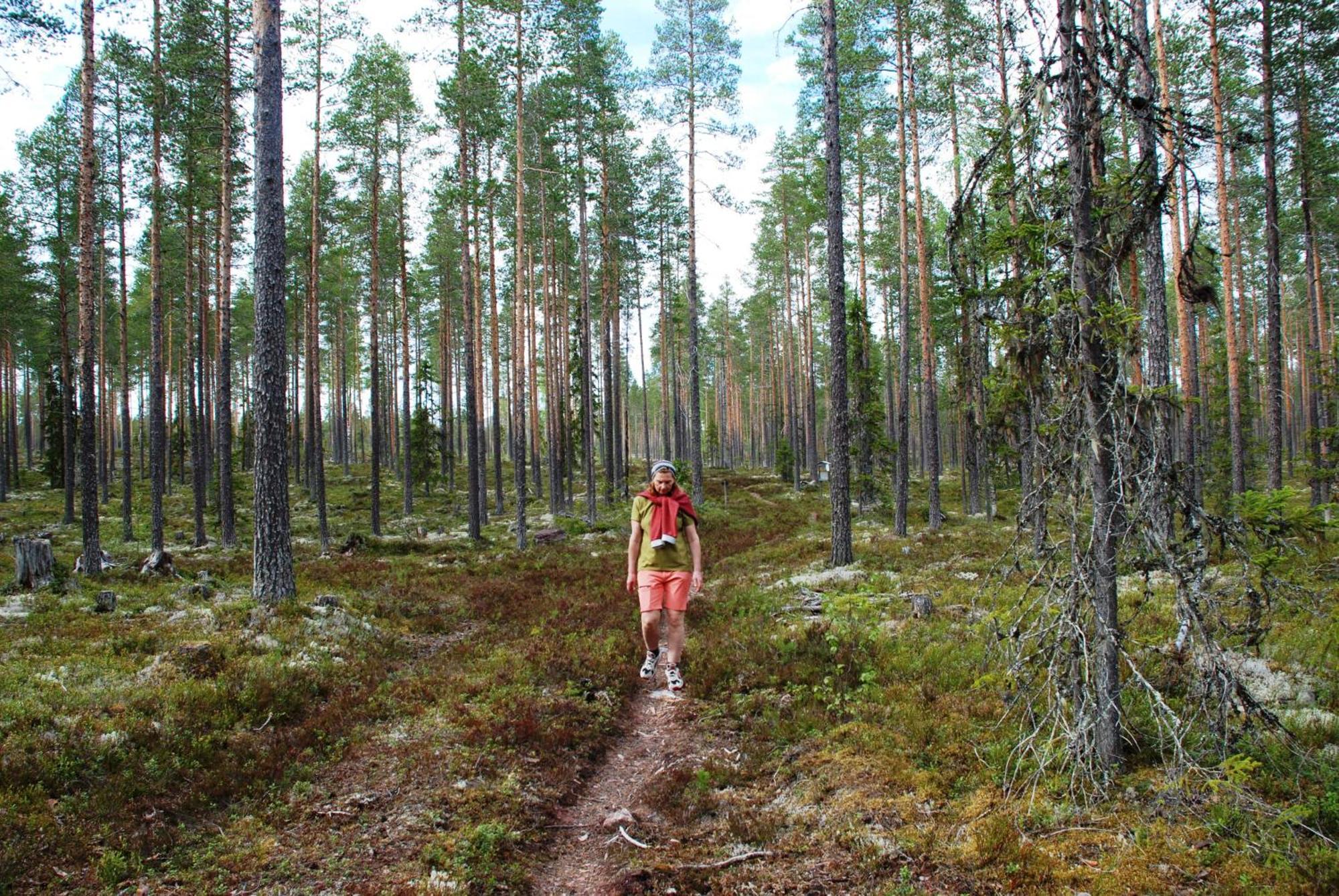 12 - Fulufjellets Nasjonalparker - Natur-, Dyre- Og Fugleopplevelser Ljørdal 外观 照片