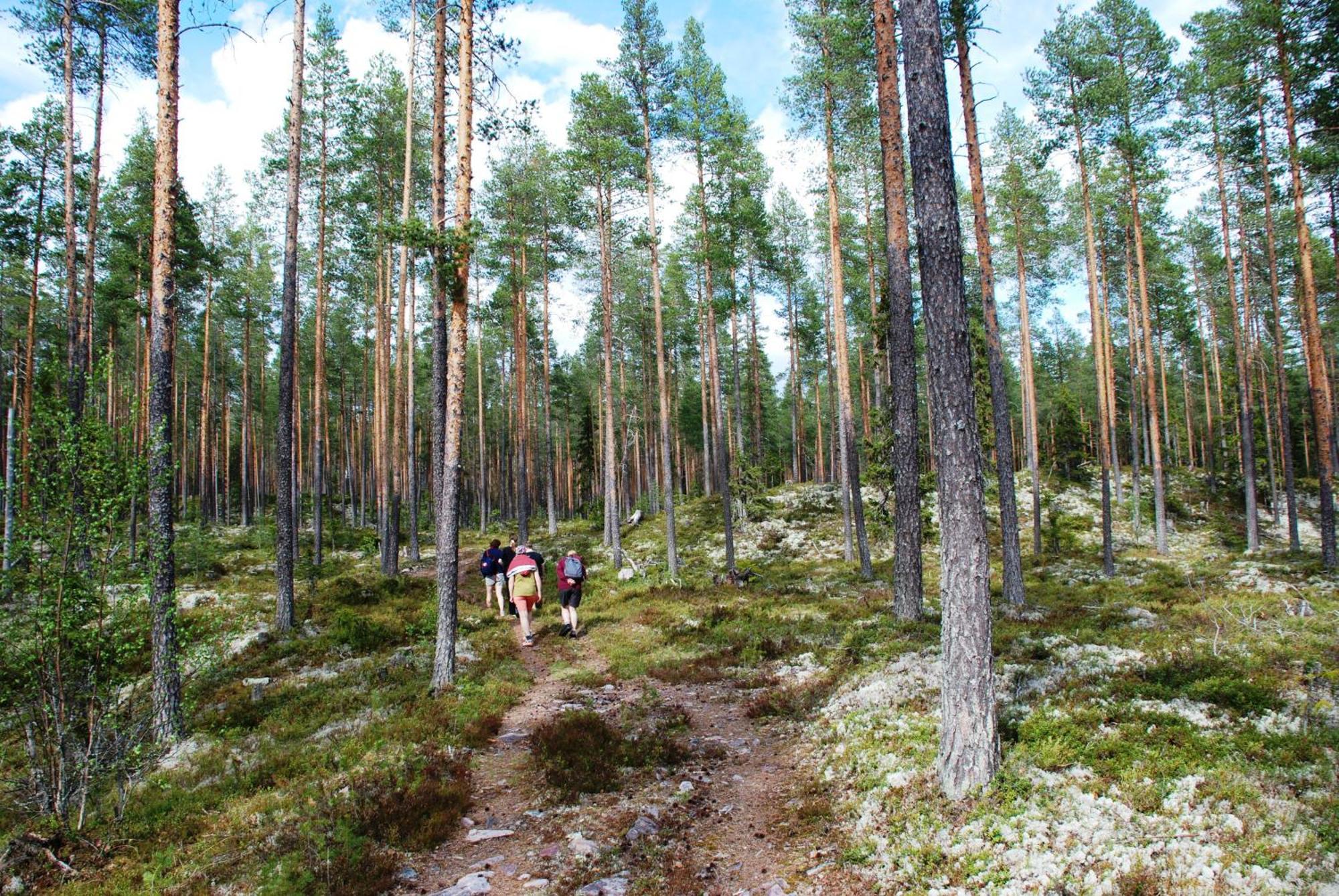 12 - Fulufjellets Nasjonalparker - Natur-, Dyre- Og Fugleopplevelser Ljørdal 外观 照片