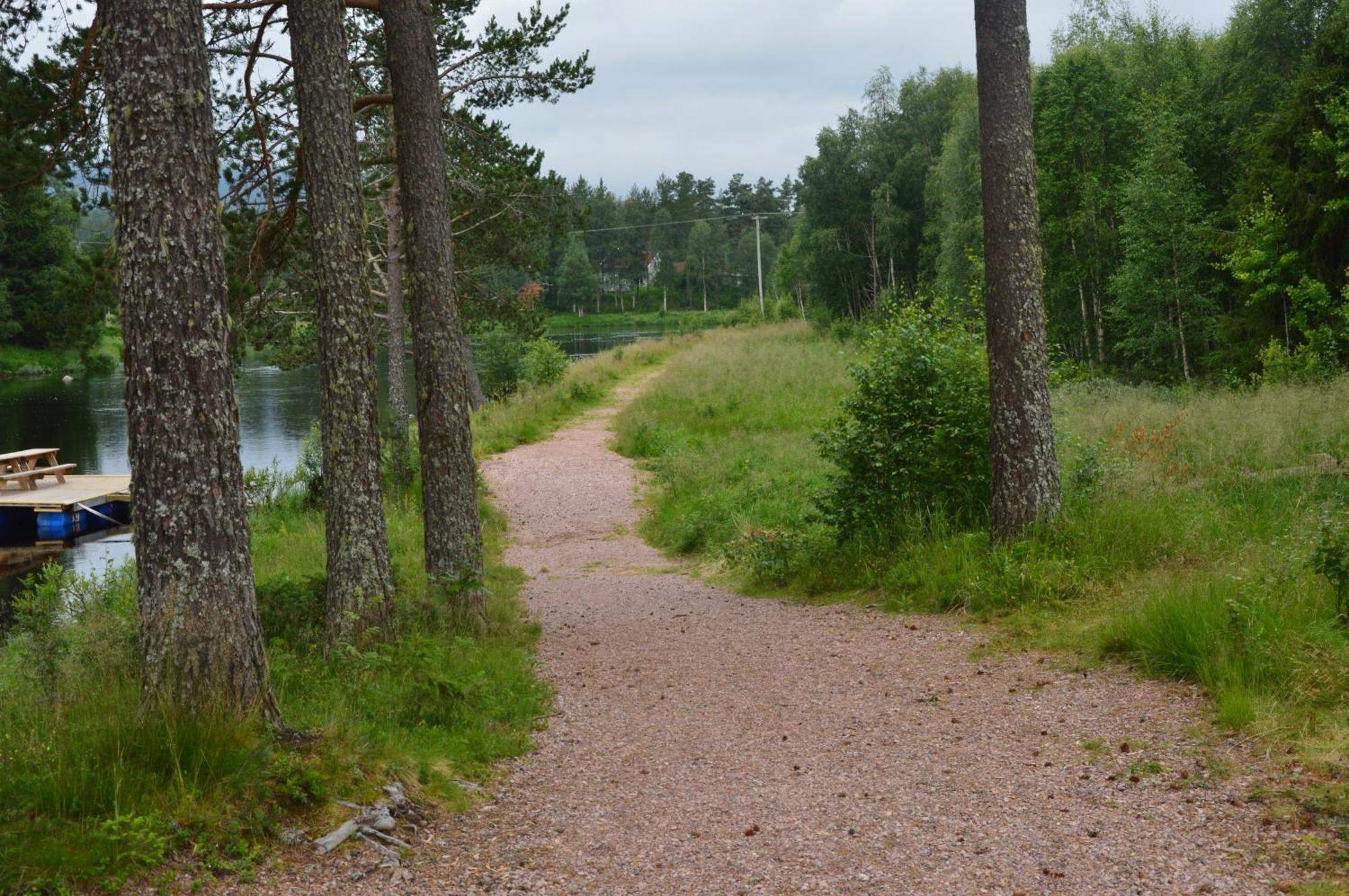 12 - Fulufjellets Nasjonalparker - Natur-, Dyre- Og Fugleopplevelser Ljørdal 外观 照片