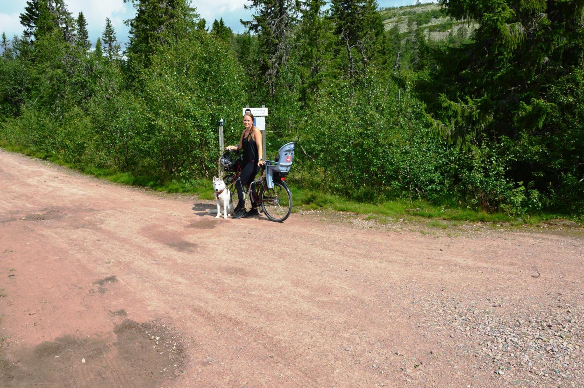 12 - Fulufjellets Nasjonalparker - Natur-, Dyre- Og Fugleopplevelser Ljørdal 外观 照片