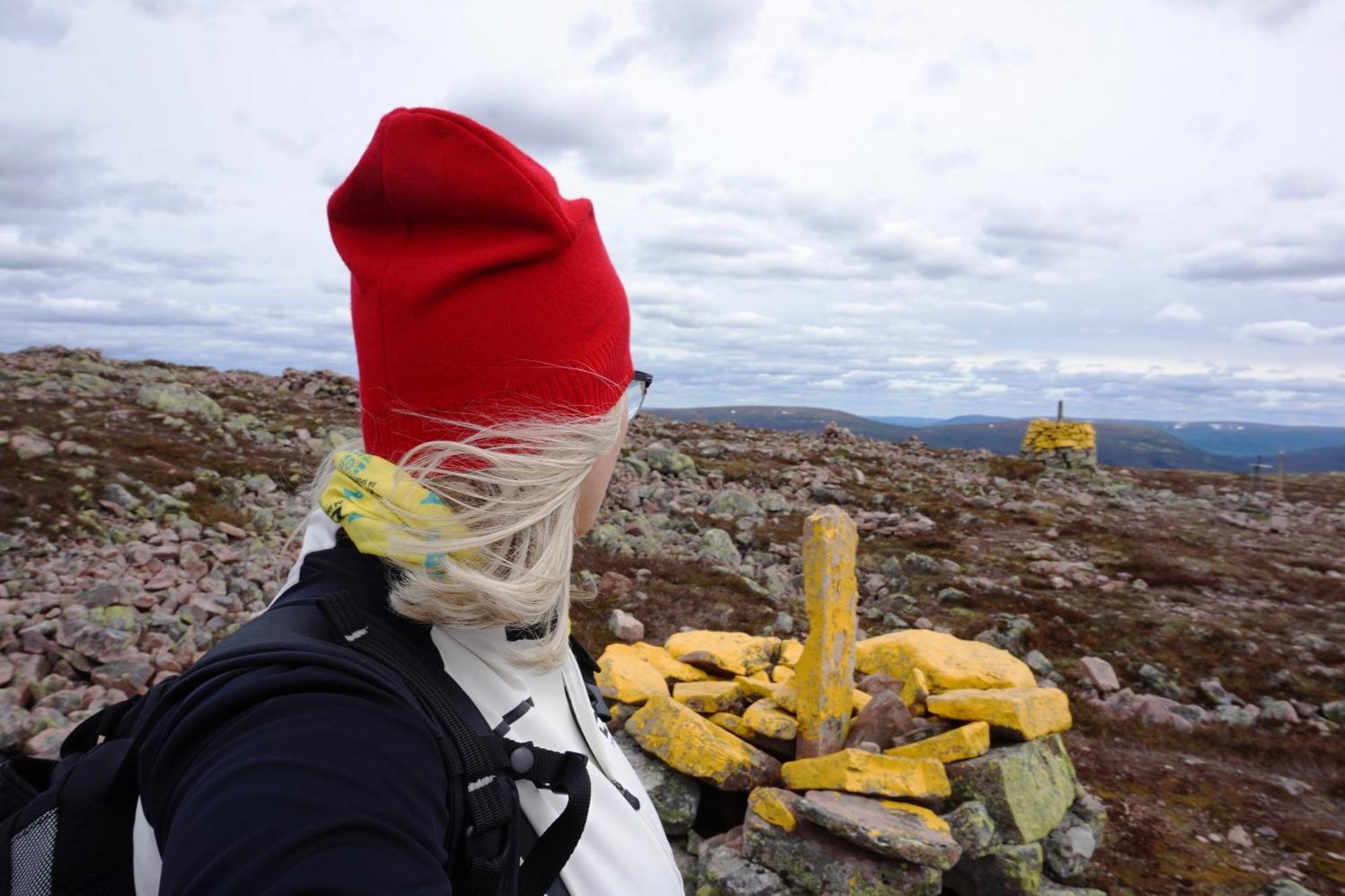 12 - Fulufjellets Nasjonalparker - Natur-, Dyre- Og Fugleopplevelser Ljørdal 外观 照片