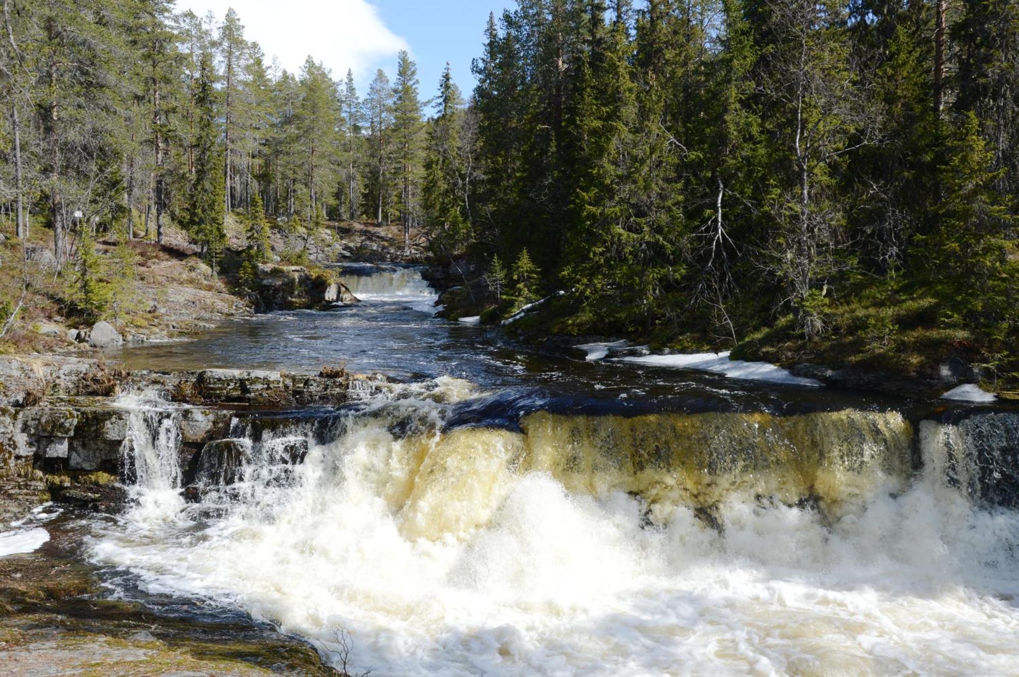 12 - Fulufjellets Nasjonalparker - Natur-, Dyre- Og Fugleopplevelser Ljørdal 外观 照片