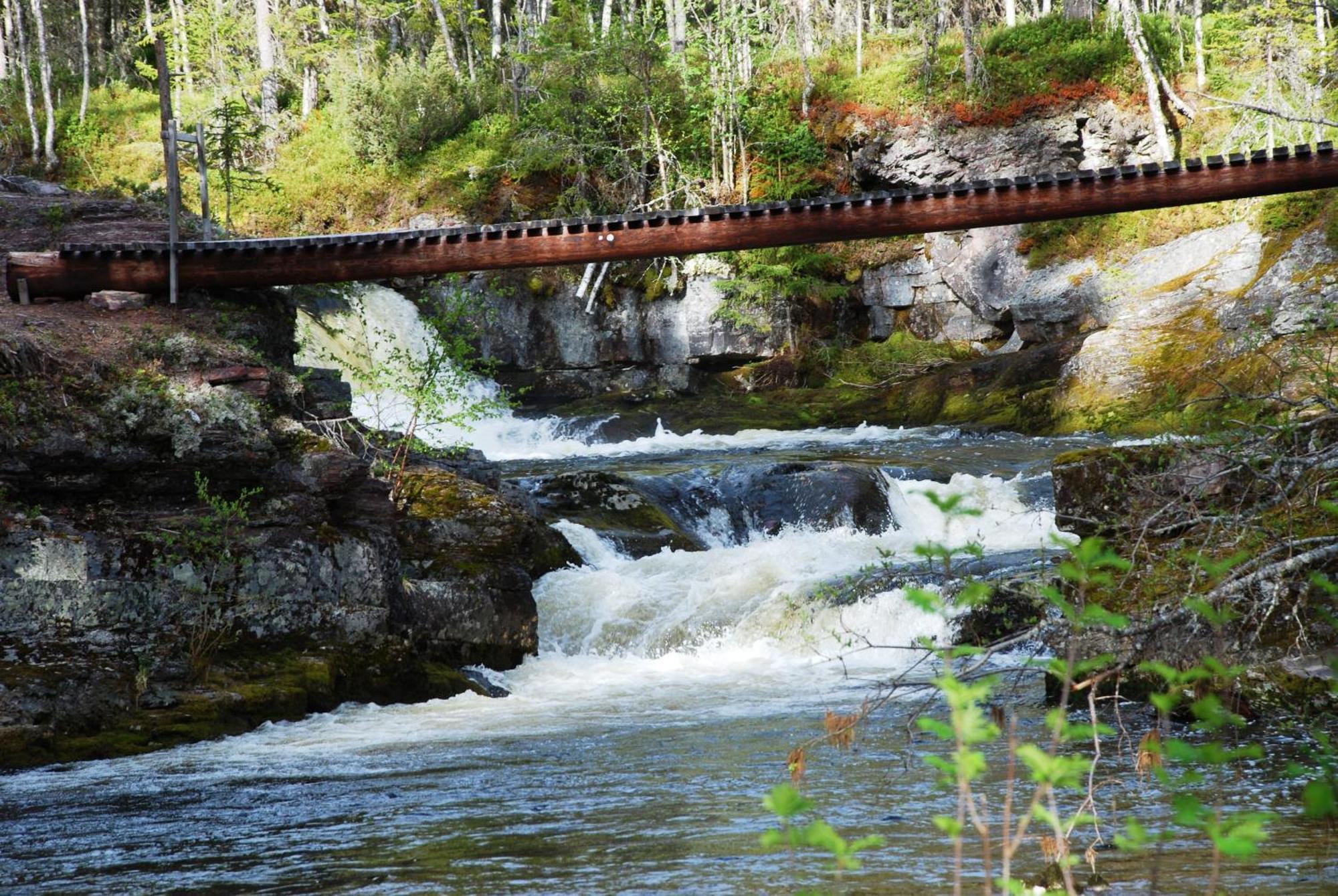12 - Fulufjellets Nasjonalparker - Natur-, Dyre- Og Fugleopplevelser Ljørdal 外观 照片