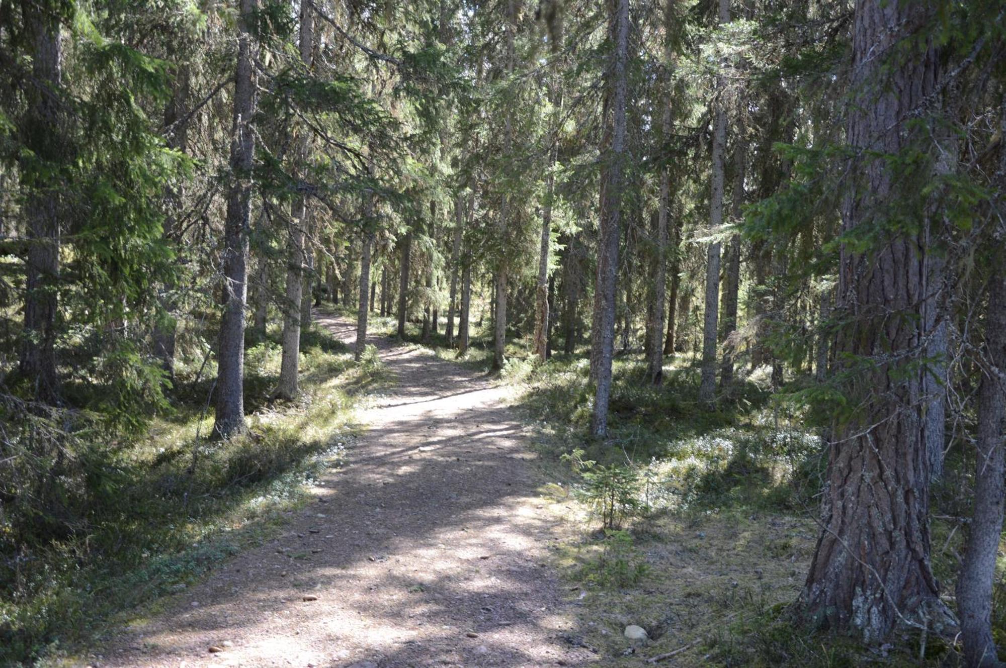 12 - Fulufjellets Nasjonalparker - Natur-, Dyre- Og Fugleopplevelser Ljørdal 外观 照片