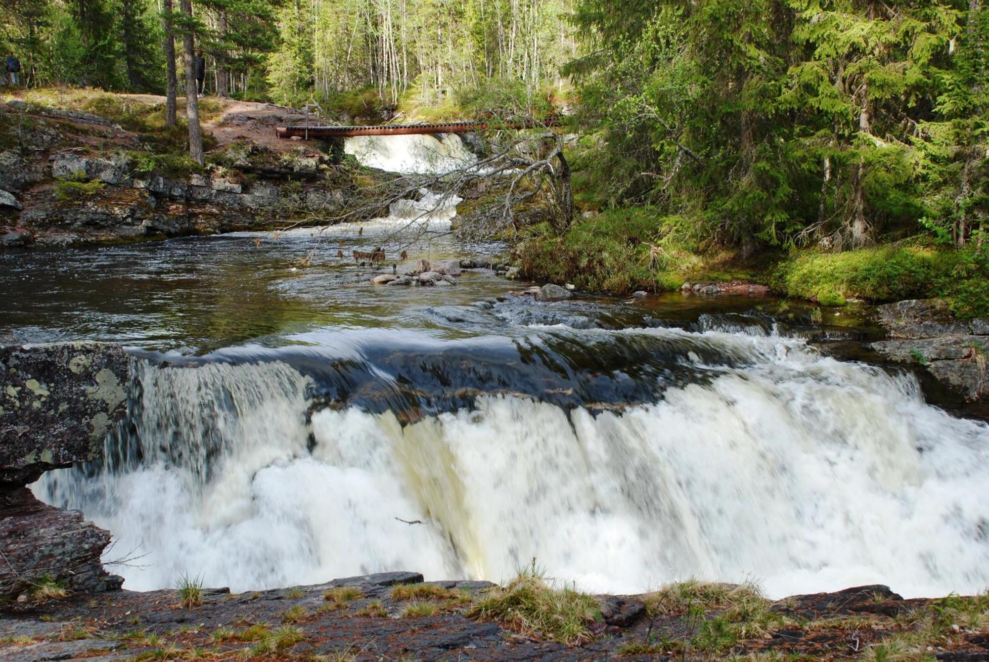 12 - Fulufjellets Nasjonalparker - Natur-, Dyre- Og Fugleopplevelser Ljørdal 外观 照片
