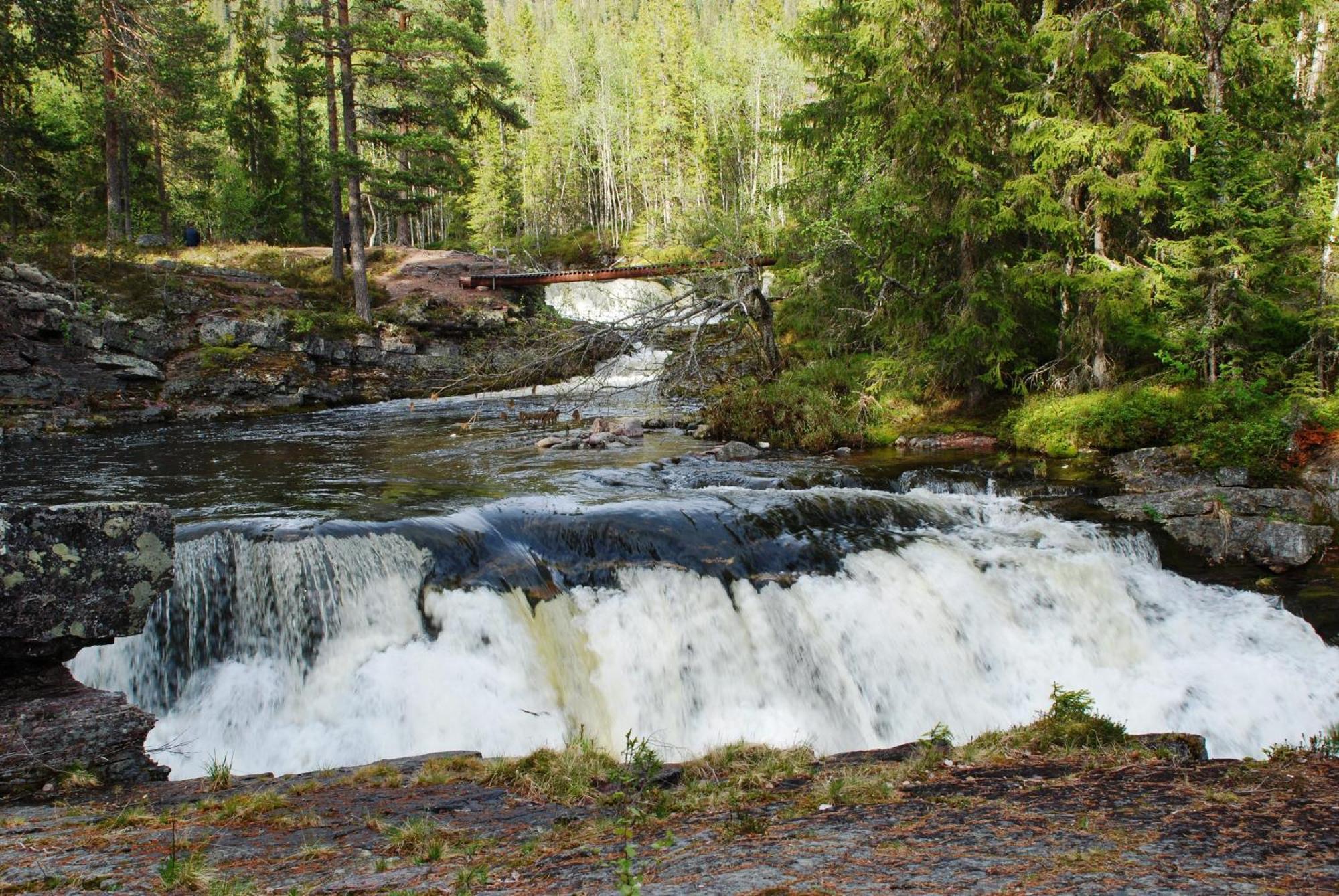 12 - Fulufjellets Nasjonalparker - Natur-, Dyre- Og Fugleopplevelser Ljørdal 外观 照片