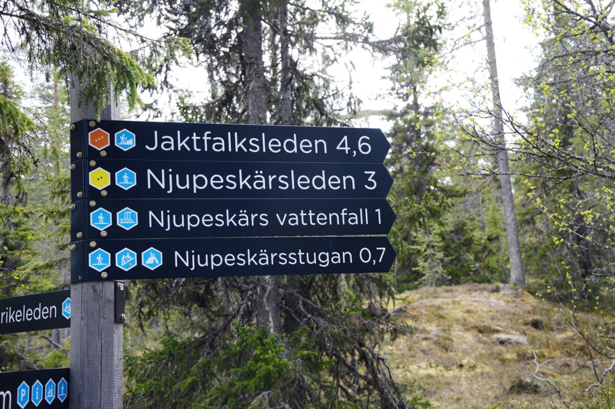 12 - Fulufjellets Nasjonalparker - Natur-, Dyre- Og Fugleopplevelser Ljørdal 外观 照片