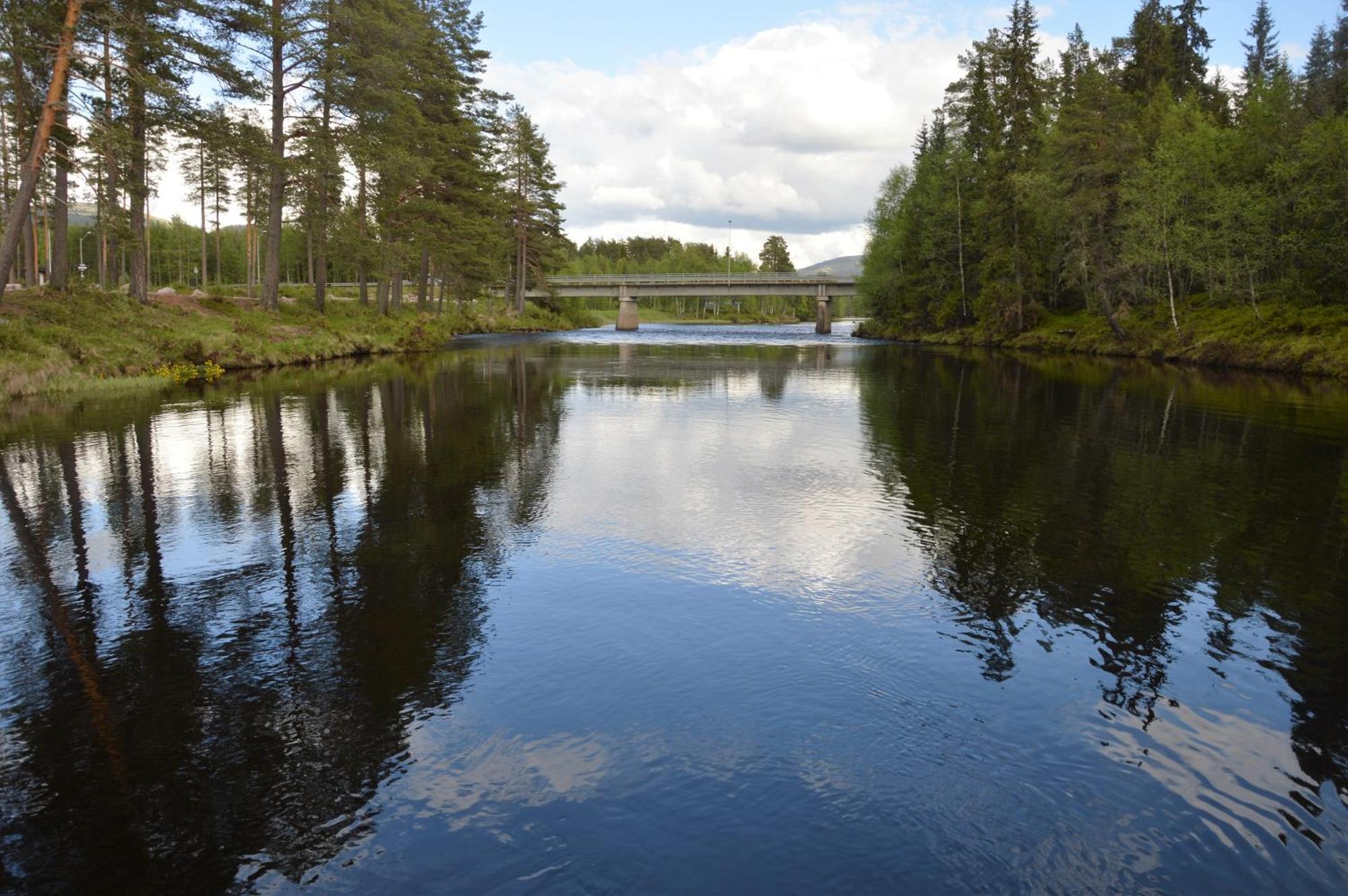 12 - Fulufjellets Nasjonalparker - Natur-, Dyre- Og Fugleopplevelser Ljørdal 外观 照片